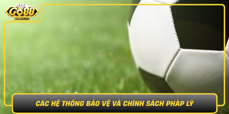 Các Hệ Thống Bảo Vệ Và Chính Sách Pháp Lý Cac He Thong Bao Ve Va Chinh Sach Phap Ly