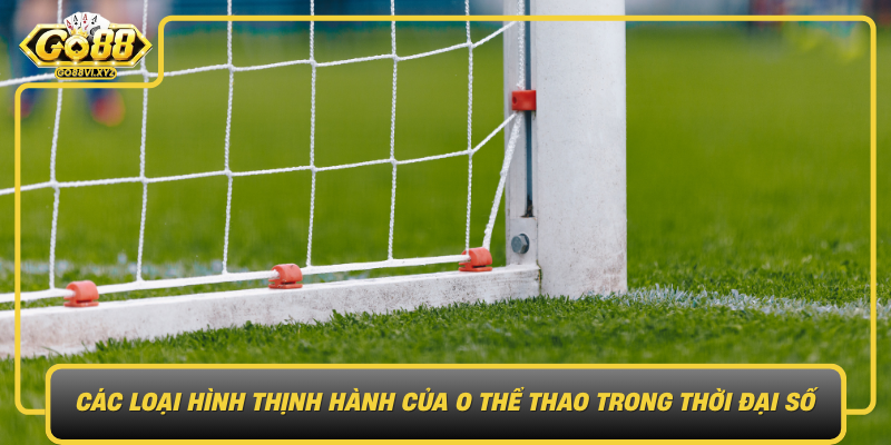 Cac Loai Hinh Thinh Hanh Cua O The Thao Trong Thoi Dai So
