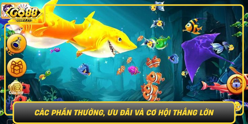 Cac Phan Thuong Uu Dai Va Co Hoi Thang Lon Trong Ban Ca Go88