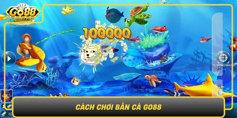Cach Choi Ban Ca Go88 Huong Dan Chi Tiet Cac Buoc De Tham Gia