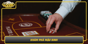 Kham Pha Mau Binh Luat Choi Cach Xep Bai Meo Thang Nhanh