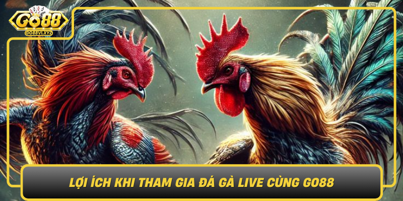 Loi Ich Khi Tham Gia Da Ga Live Cung Go88